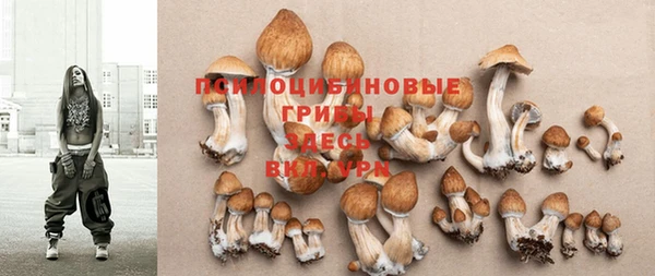 ешки Заволжск